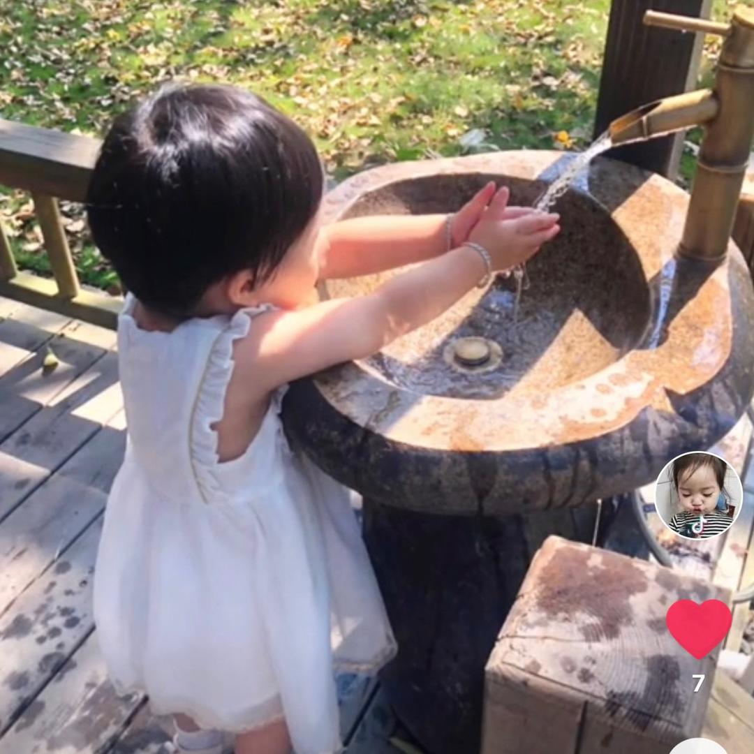 银杏果