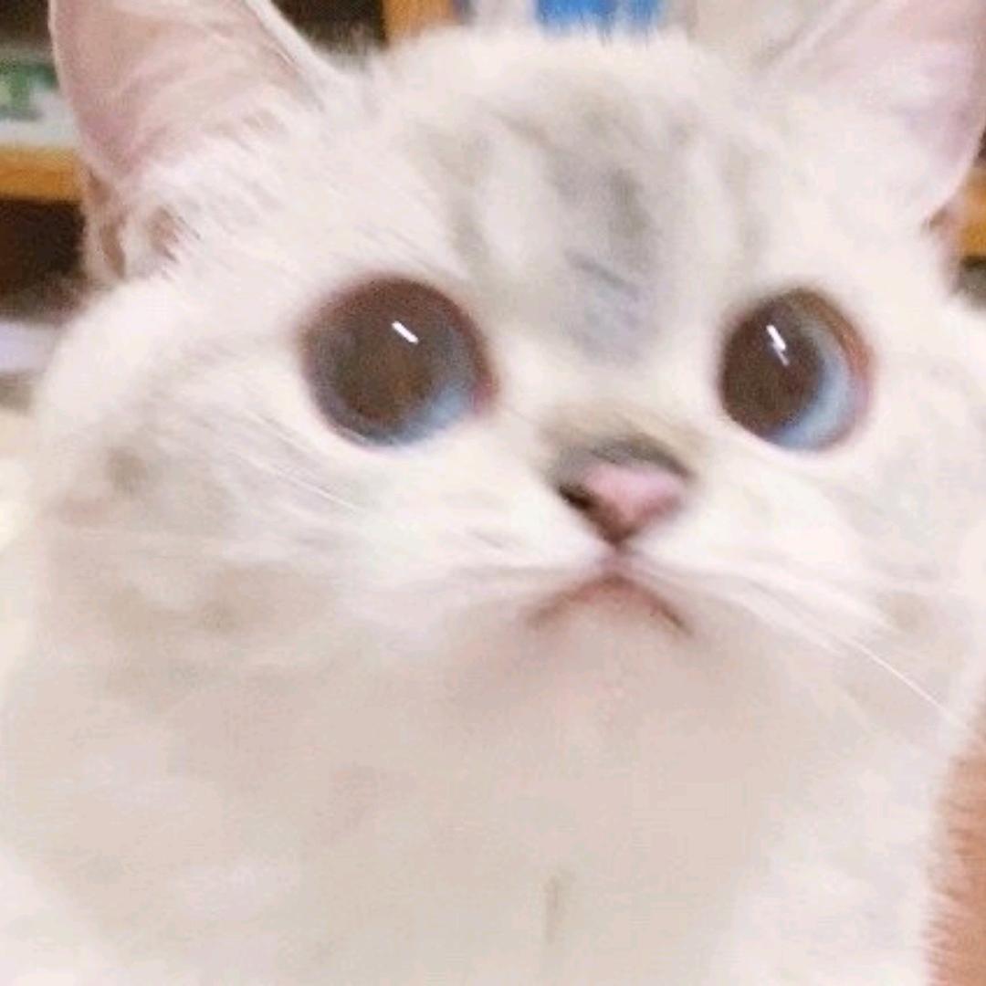 ··如初··