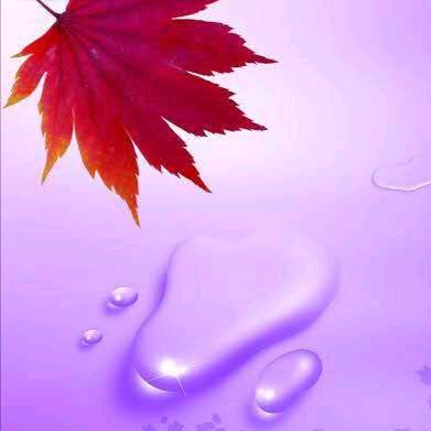 🍁落秋