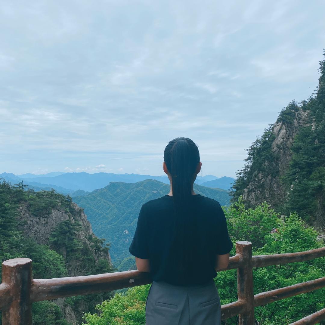 琼.彭婆掌讯数码