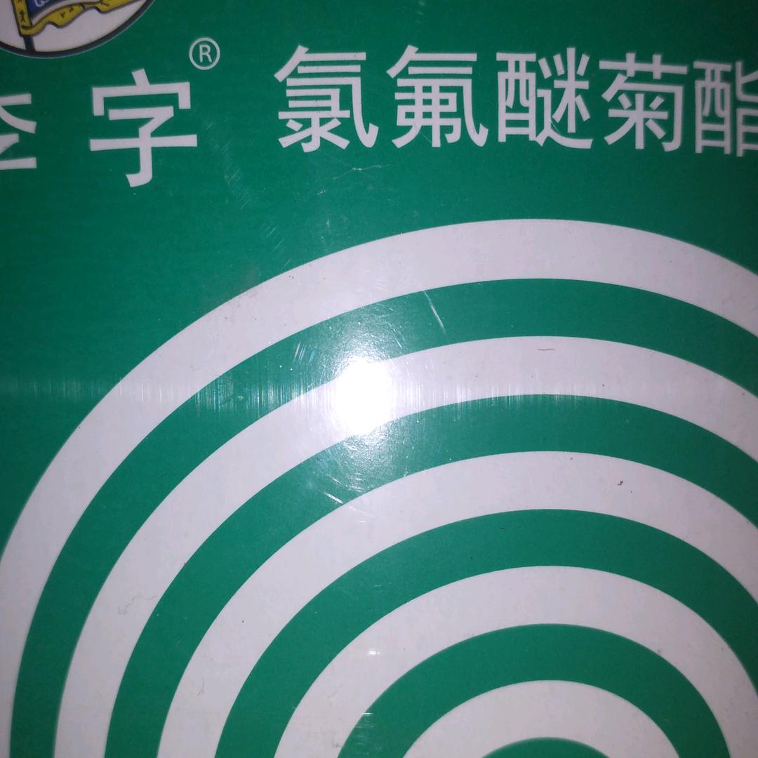 一界凡人