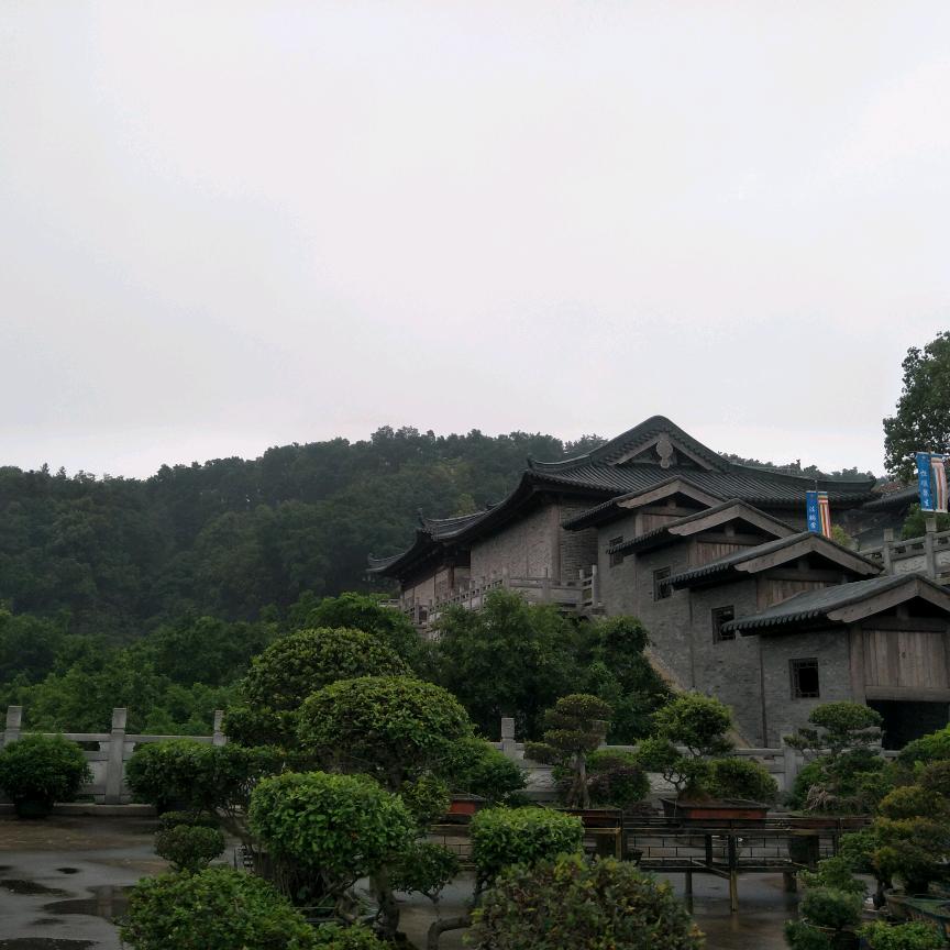 生哥