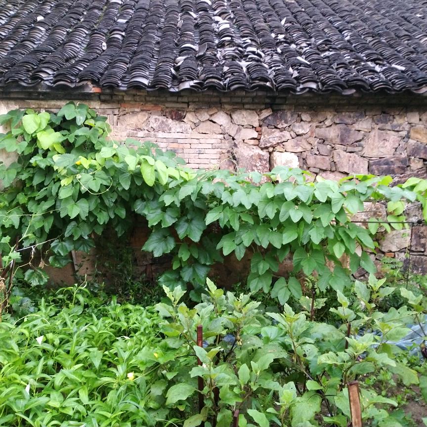 本人姓周༺ཉི།周迷糊⁵²⁰༒ۣ¹³¹⁴