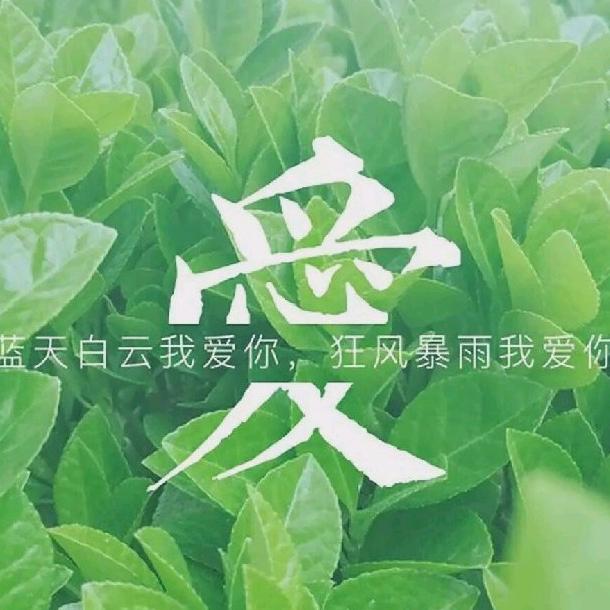 花花姑娘家