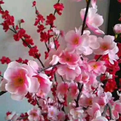 胡迷糊