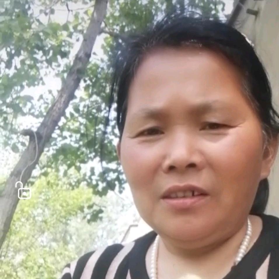 小雨妈
