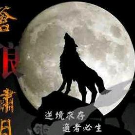 苍狼🐈啸月
