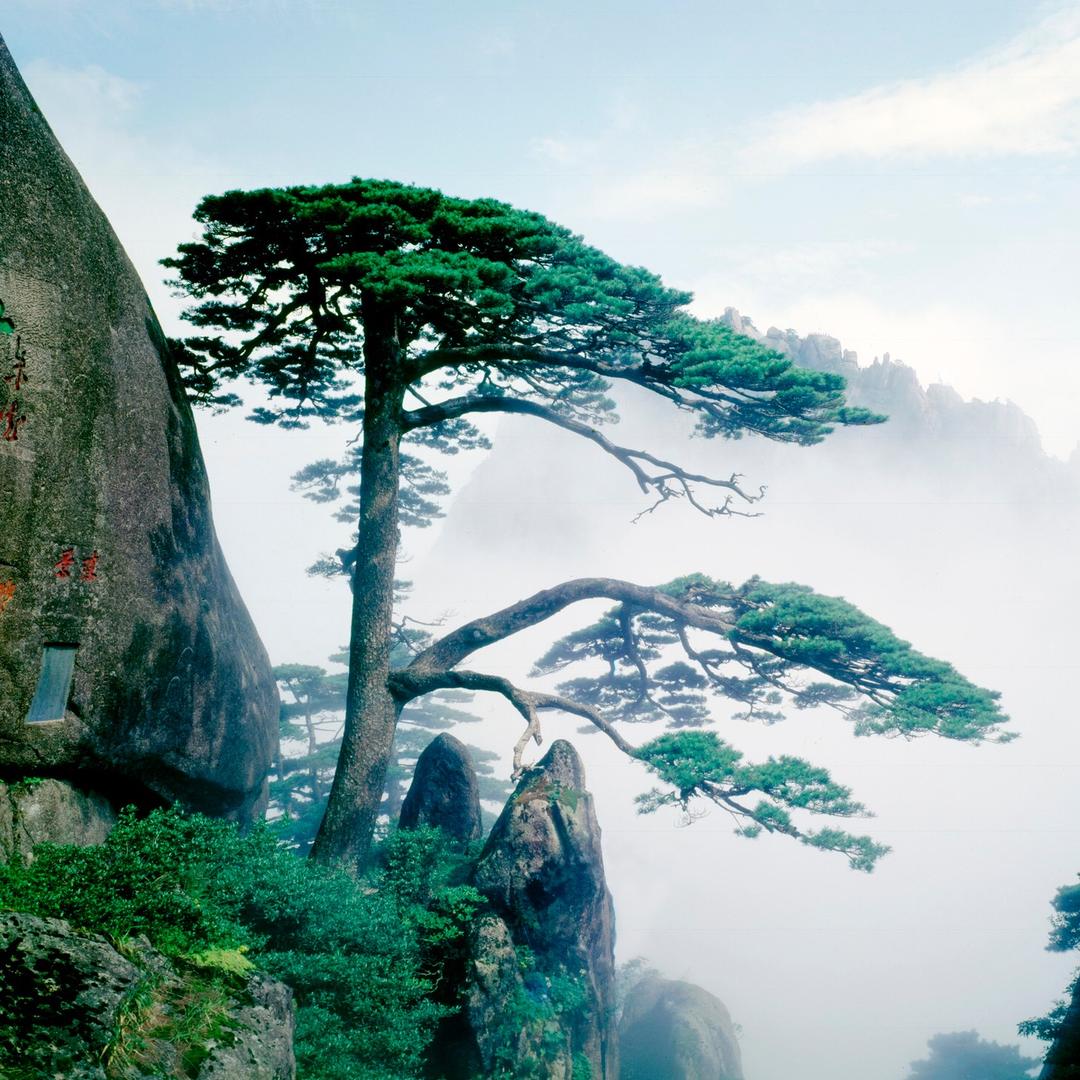 美丽黄山守护人（人文黄山）