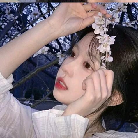 京城咨询《SZ》