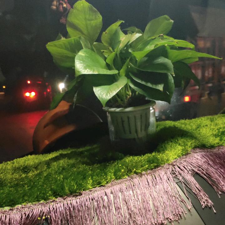 原飞