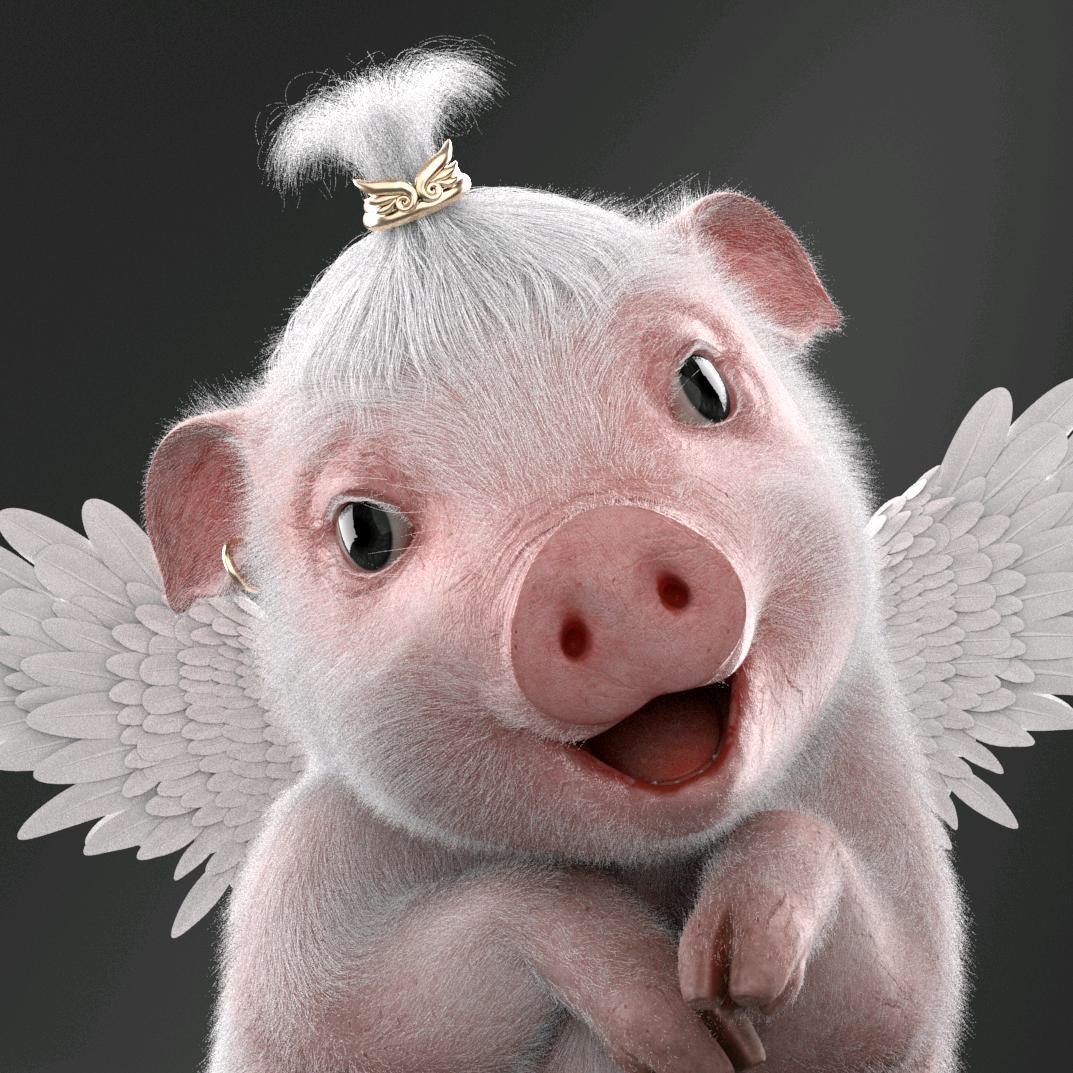 飞猪迈萌🐷