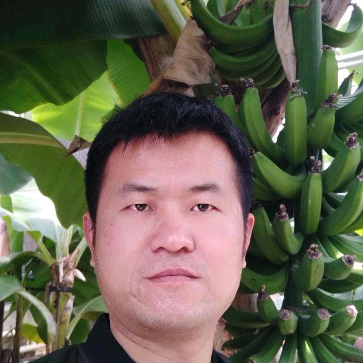 月中仙