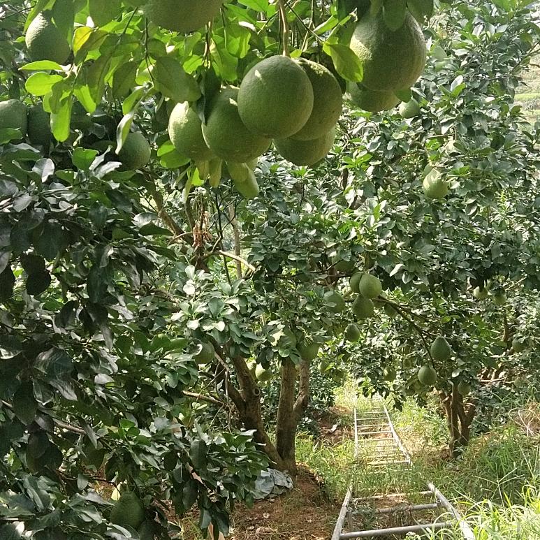 用户2652726811111李