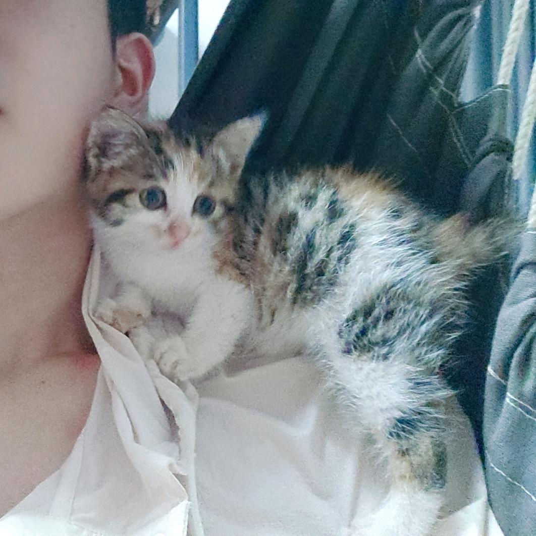 窒息🙈