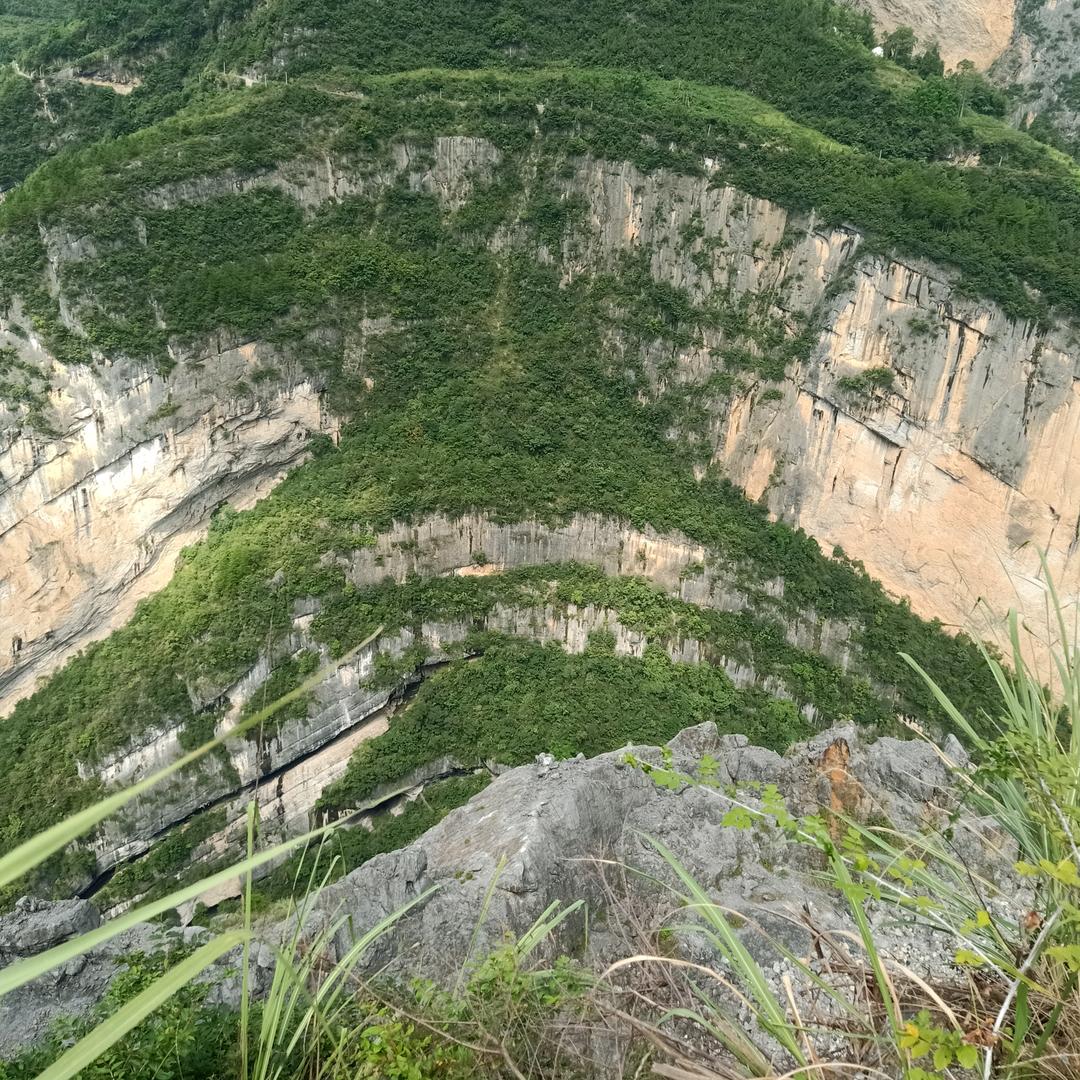 鼎兴采钢、土蜂养殖