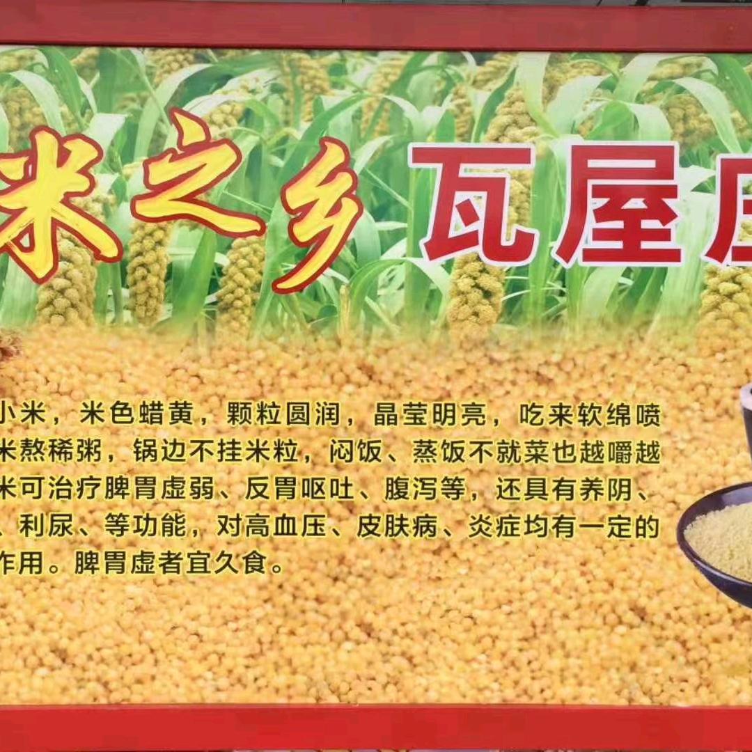 韩不老