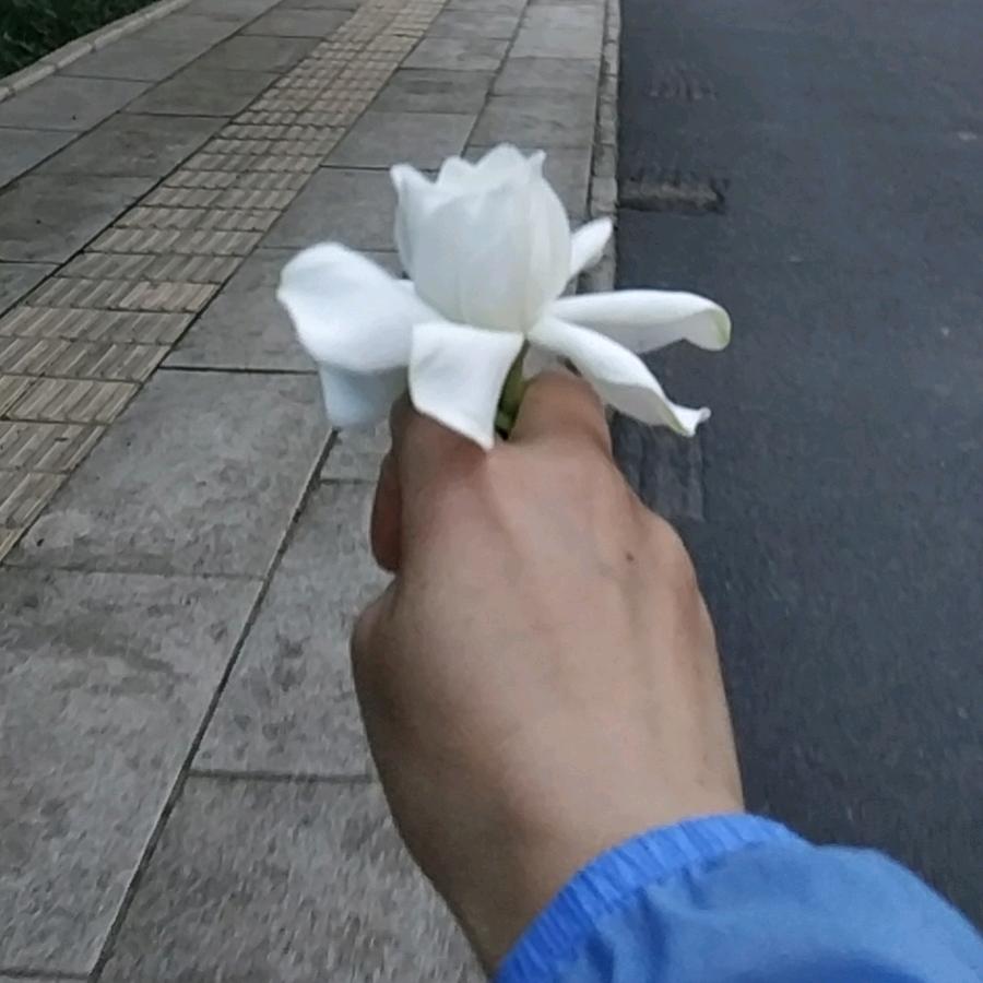 时光荏苒