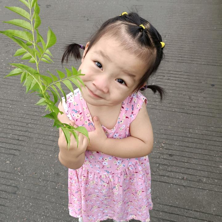 果果