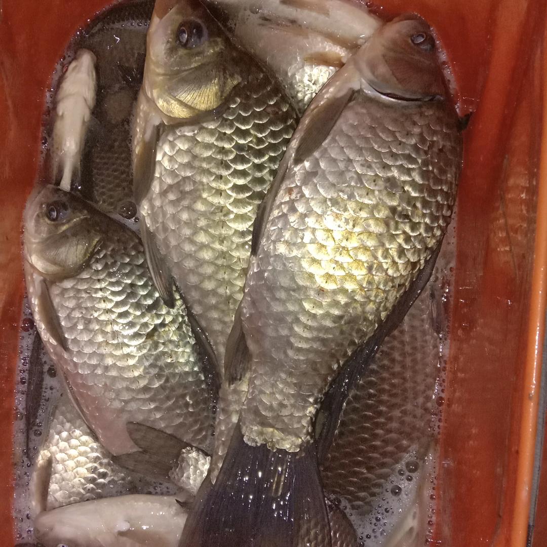 江南一梦