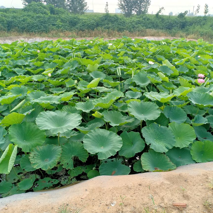 挑战未来