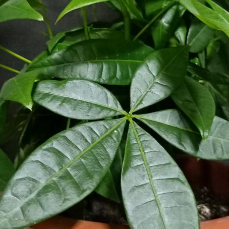 于海波电焊工程队