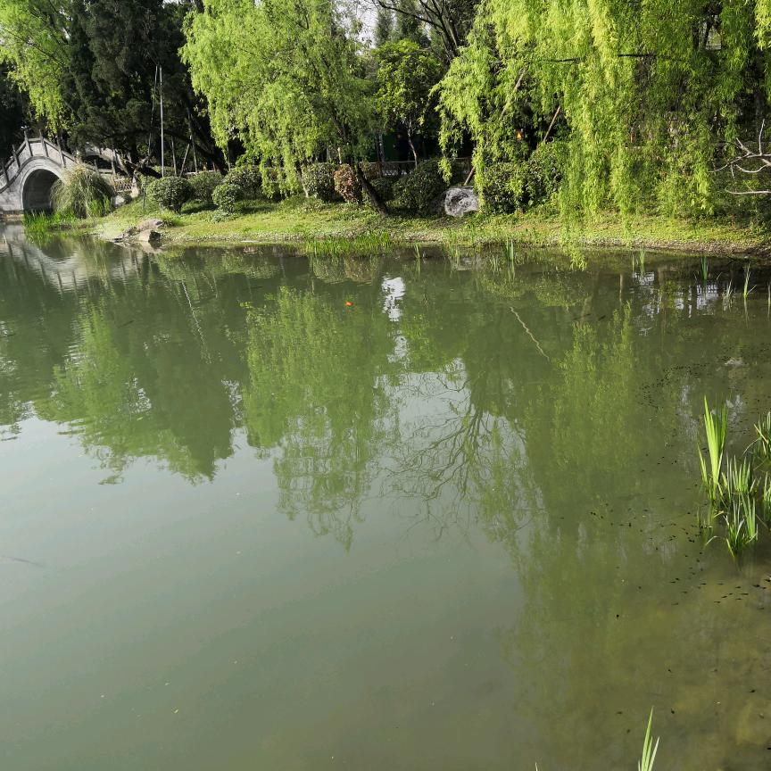 李林