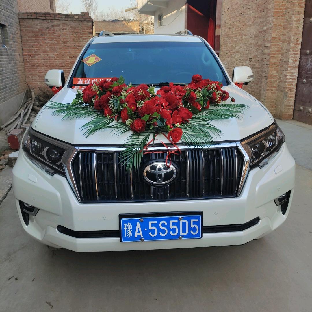 汝州普拉多大队波波（加宝纺织）