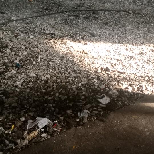 用户3898232020131
