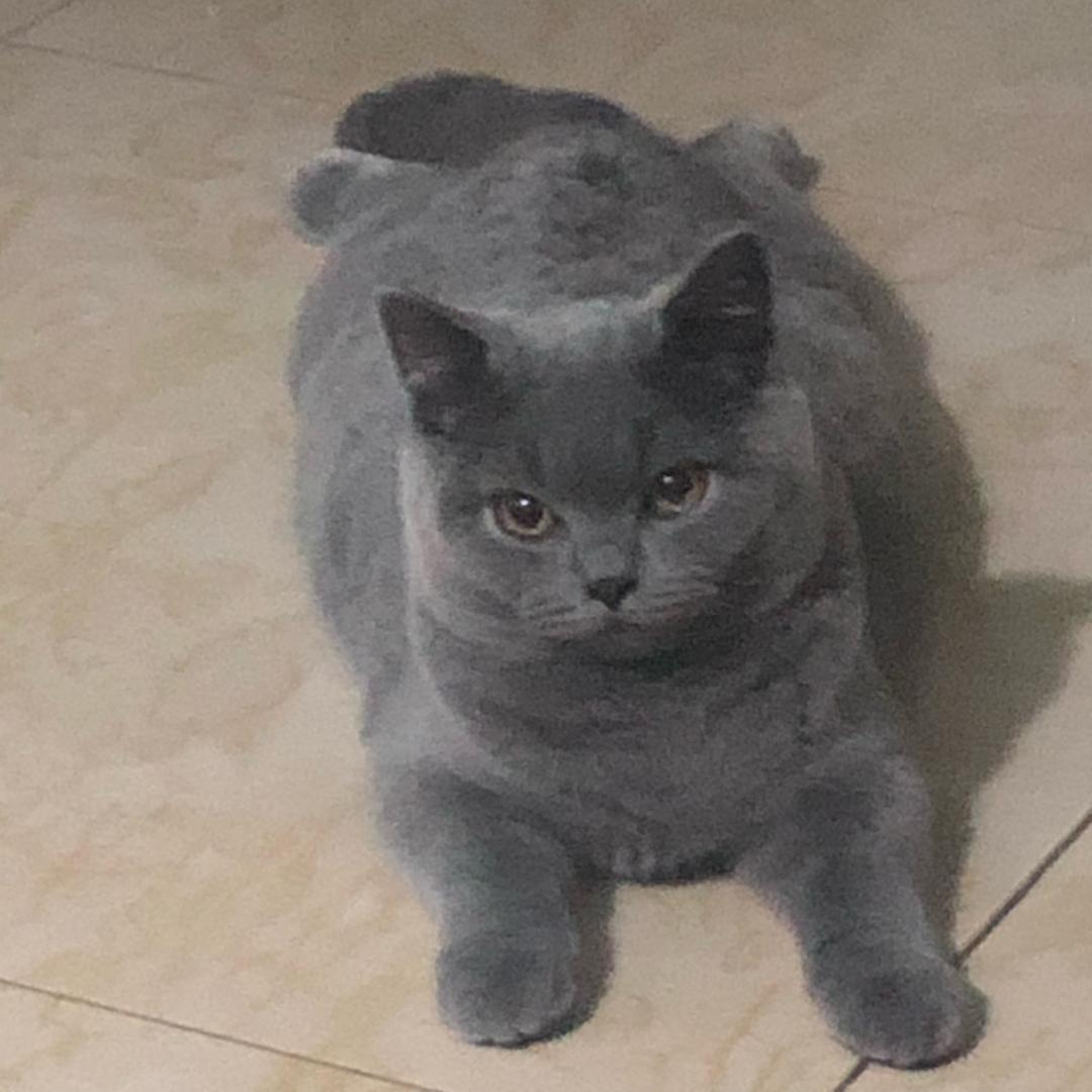 半醒半梦