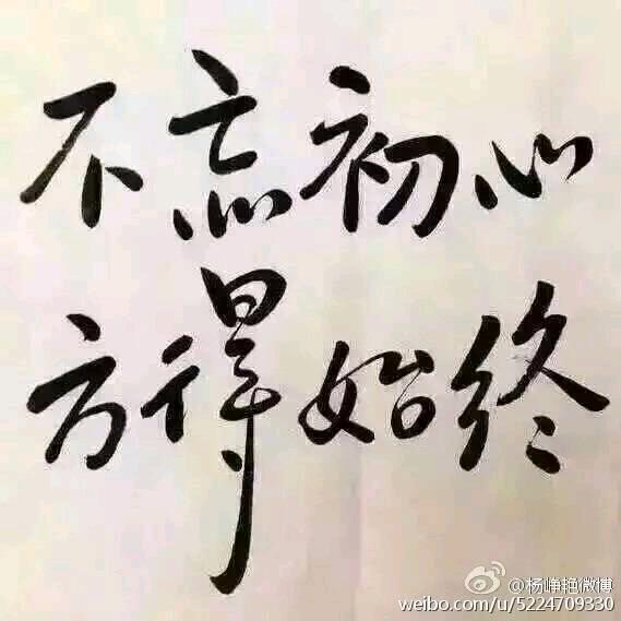 飞