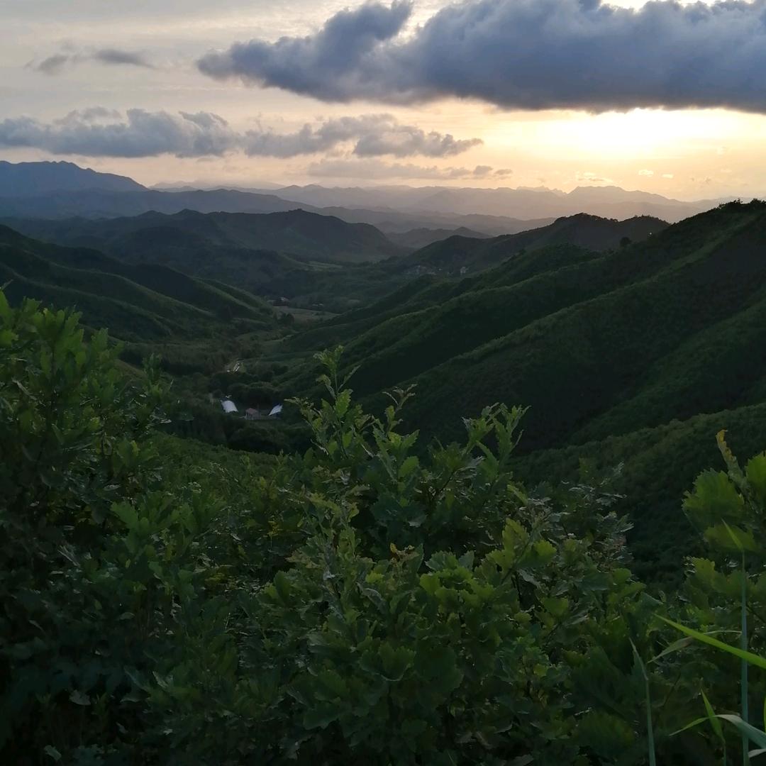 大兵