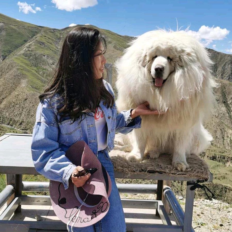 西藏兴马建筑劳务有限公司