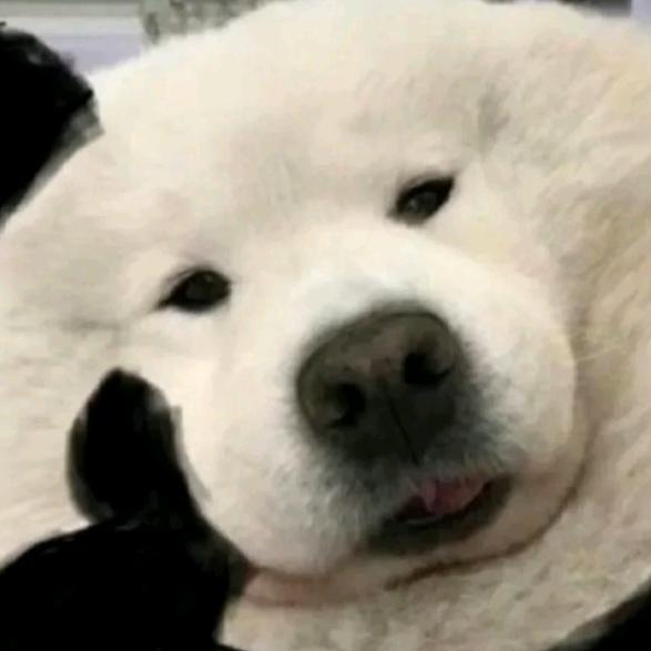 俱