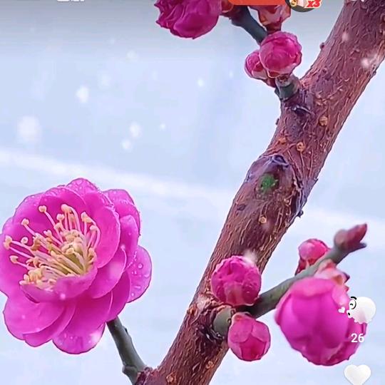 秀秀118118118