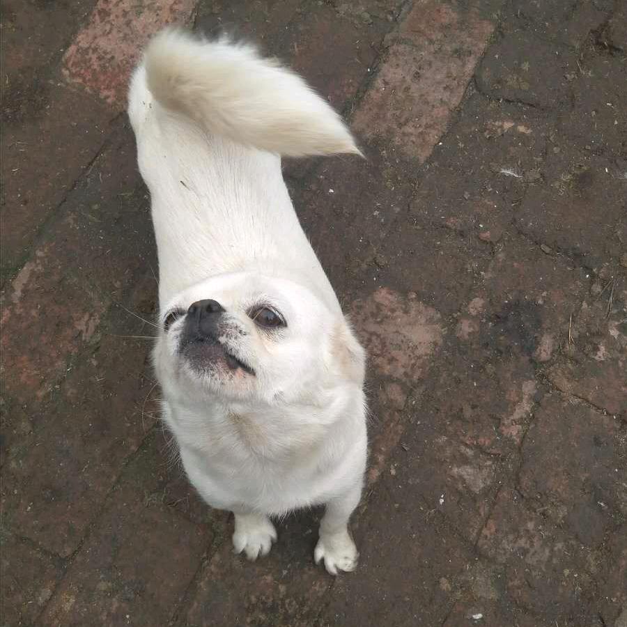 ╰☆囧じ☆ve爱