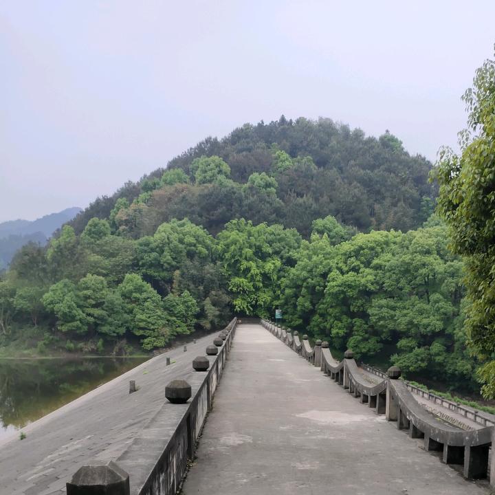 倒立看世界，
