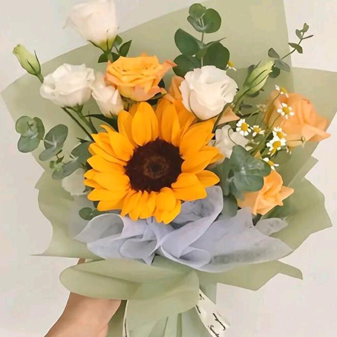 向日葵的分享🌻