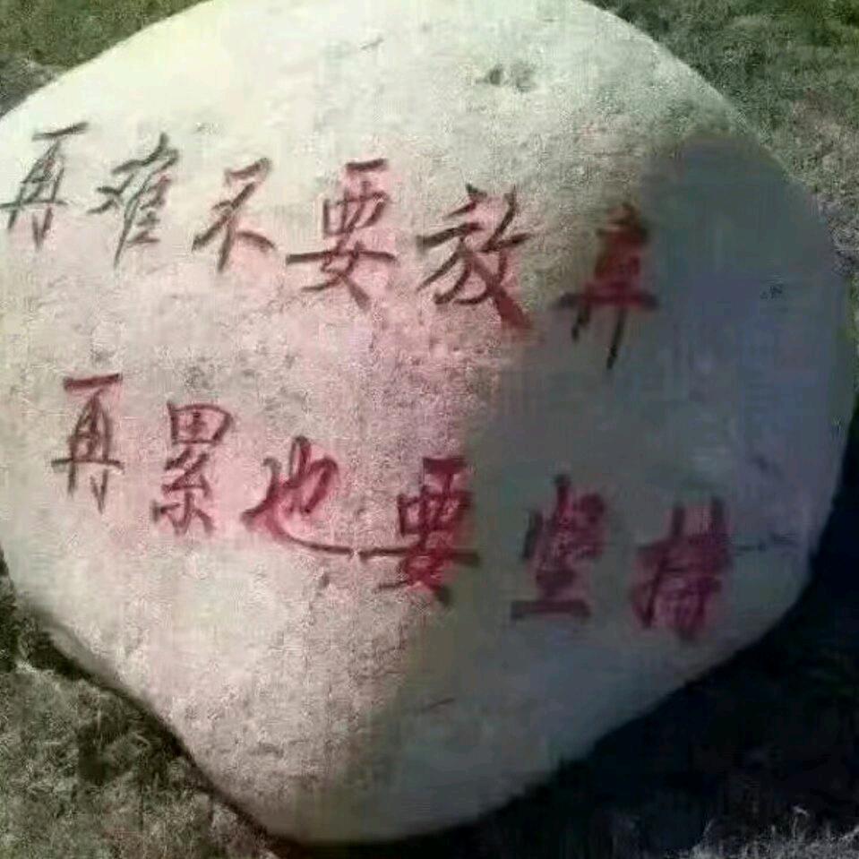 走天涯