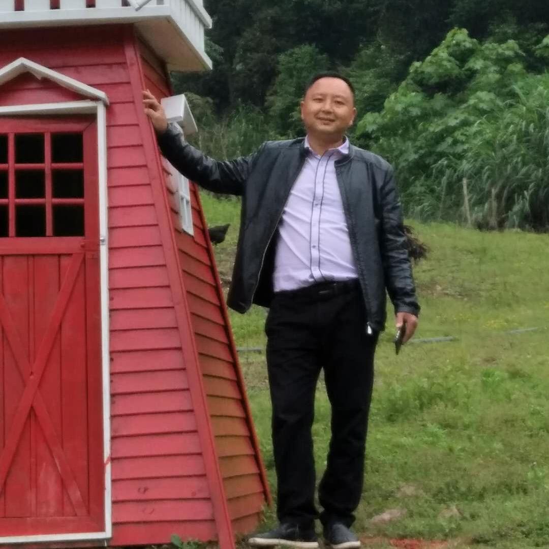 风临松