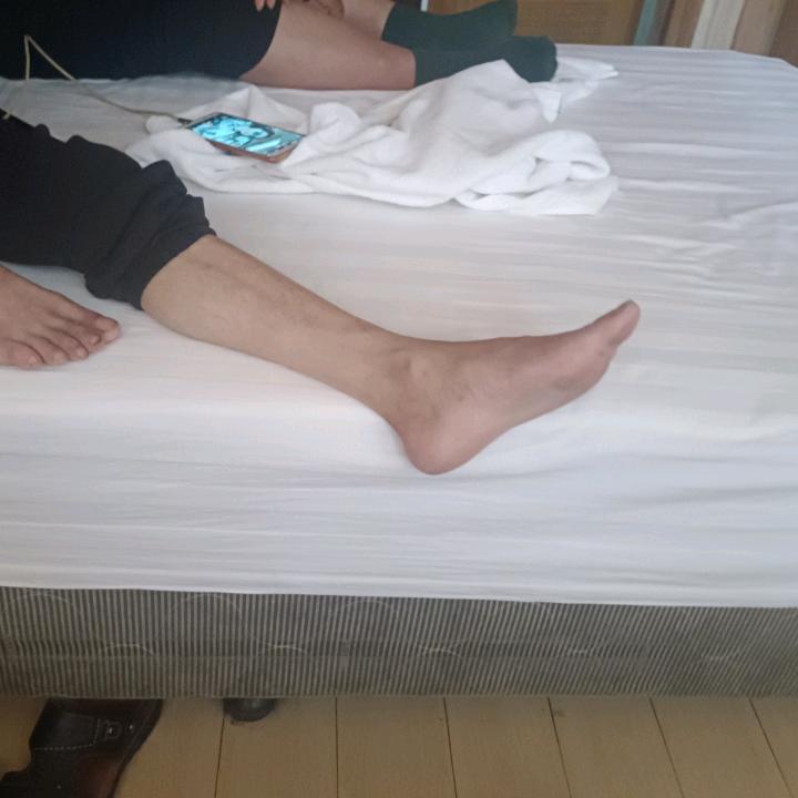 红牡丹