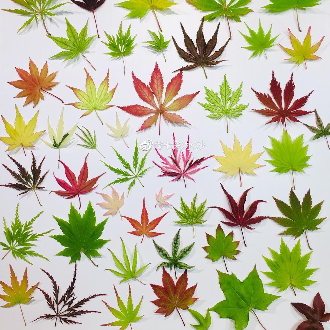 七彩水沙