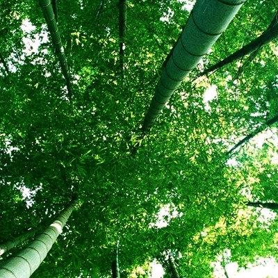 晨曦初露🇨🇳💯