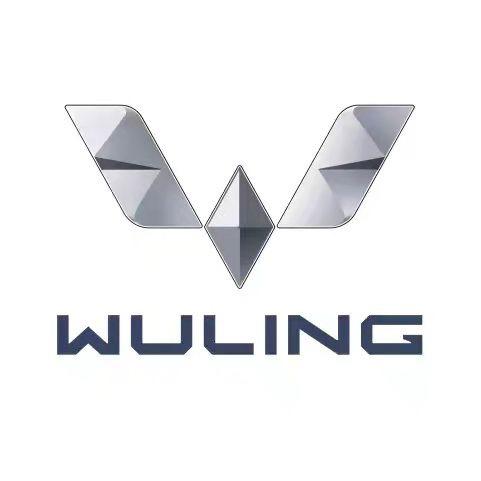 五菱新能源濮阳体验中心