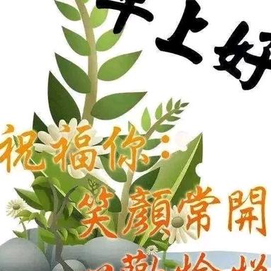 木子e