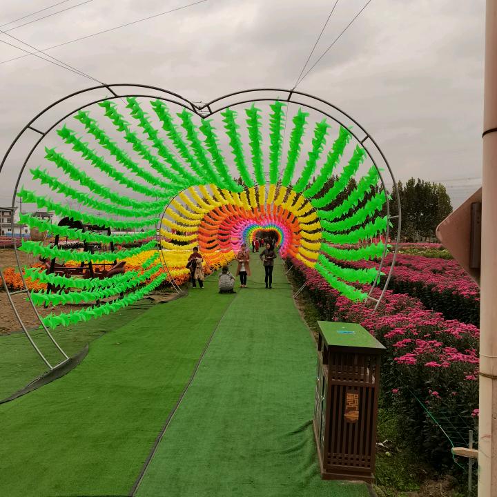 啊堃