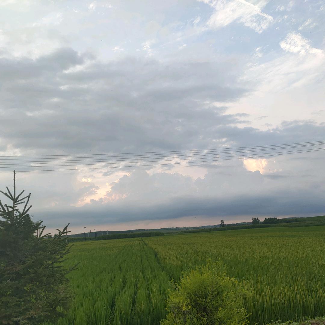 近战法师刘海柱