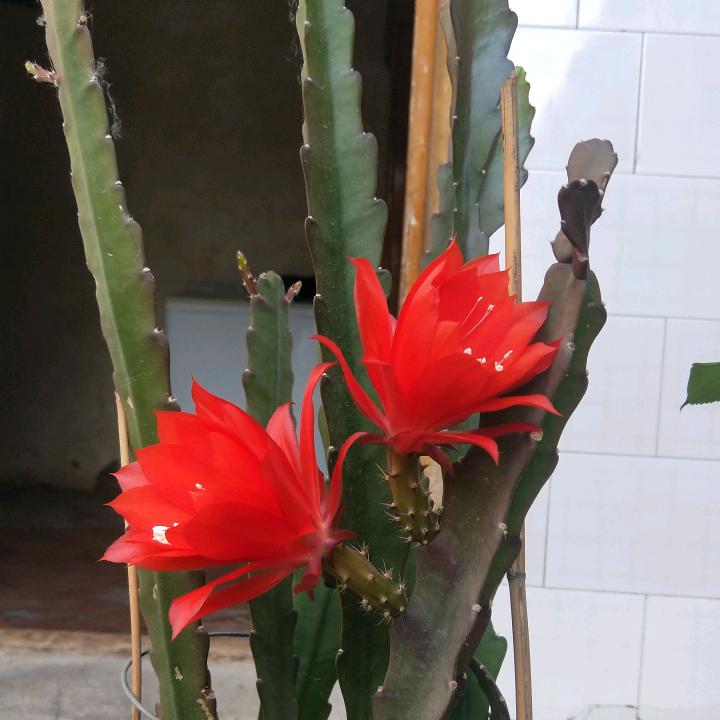 我的忧伤你不懂