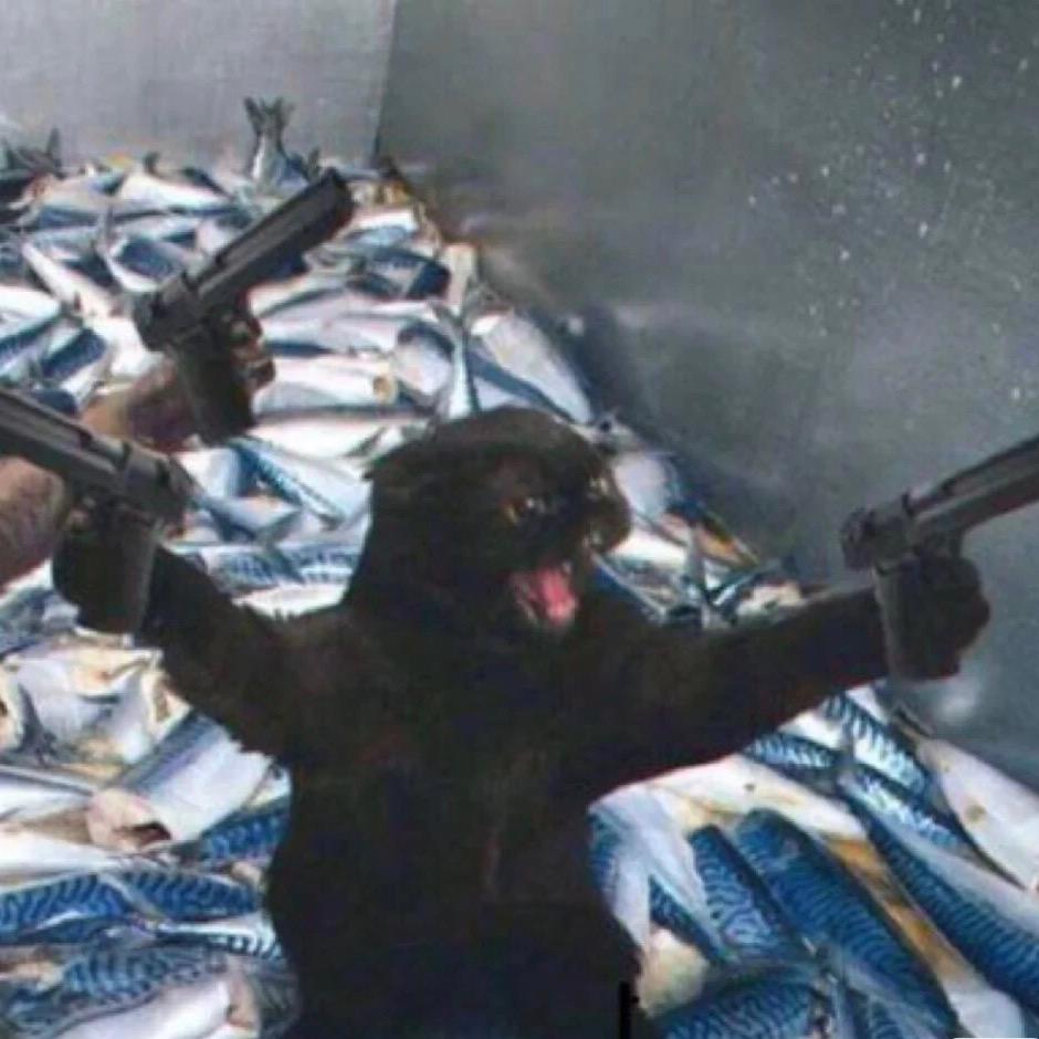 🌈黎明就在眼前