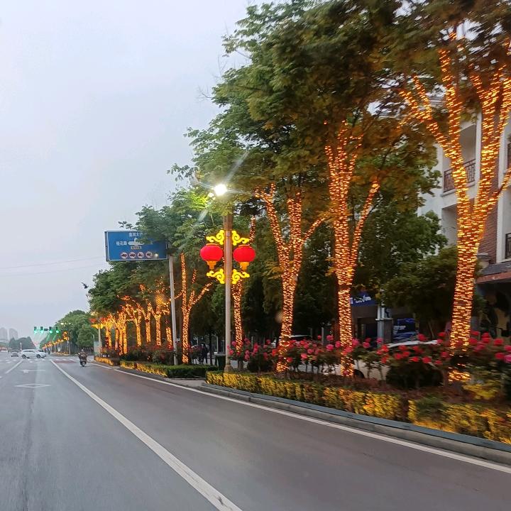 匡开树