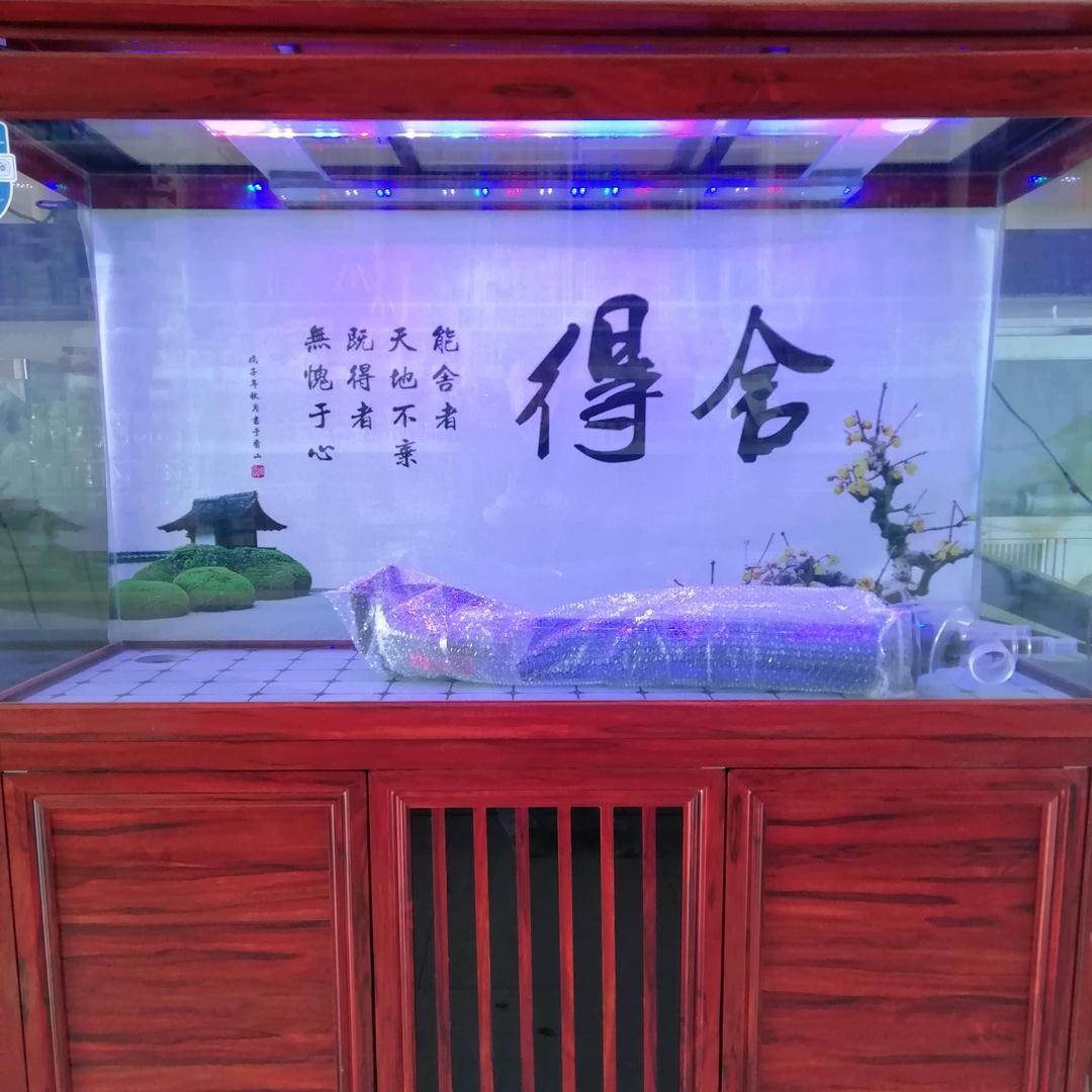 安国市伍仁桥鱼悦水族